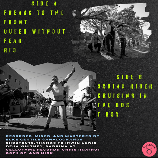 Boyswitch "Queer Without Fear" Limited Vinyl 12 inch